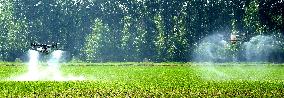 Agriculture Under High Temperatures