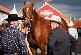 PM Mark Carney At Calgary Stampede - Canada