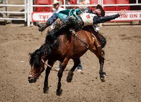 Bareback Rodeo Action At Calgary Stampede - Canada