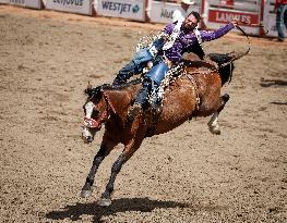 Bareback Rodeo Action At Calgary Stampede - Canada