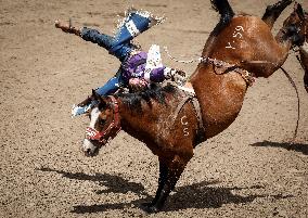 Bareback Rodeo Action At Calgary Stampede - Canada