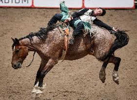 Bareback Rodeo Action At Calgary Stampede - Canada
