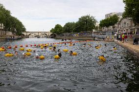 Opening day of the Pont Marie Seine bathing site - Paris RL