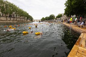 Opening day of the Pont Marie Seine bathing site - Paris RL