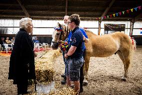 Princess Beatrix At 60th Anniversary Of Foundation For Horse Riding For Disabled People - The Hague
