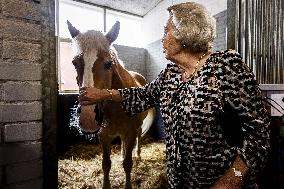 Princess Beatrix At 60th Anniversary Of Foundation For Horse Riding For Disabled People - The Hague