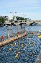 Bercy Swimming Inauguration - Paris