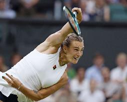 Tennis: Wimbledon championships