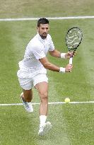 Tennis: Wimbledon championships