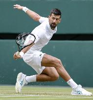Tennis: Wimbledon championships