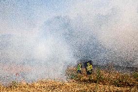 Demonstration Against Motorway Construction - Toulouse