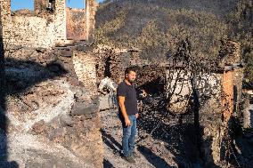 Izmir Wildfire - Turkey