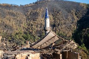 Izmir Wildfire - Turkey