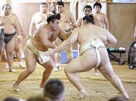 Sumo: Nagoya tournament