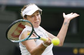 Tennis: Wimbledon championships