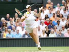 Tennis: Wimbledon championships