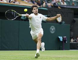 Tennis: Wimbledon championships