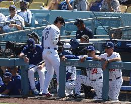Baseball:Shohei Ohtani