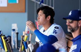 Baseball:Shohei Ohtani