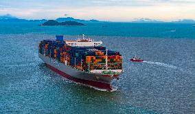 Shanghai Yangshan Deepwater Port Container Terminal