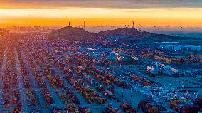 Shanghai Yangshan Deepwater Port Container Terminal
