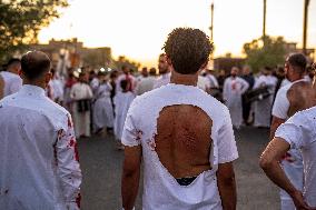 Tatbir Ritual - Baghdad