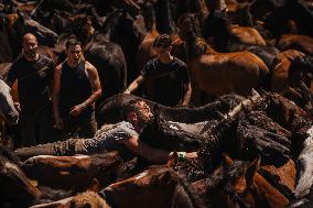 Third Day of A Rapa Das Bestas 2025 - Spain