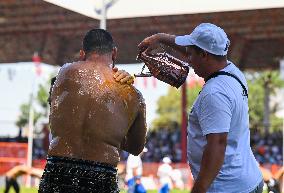 Oil Wrestling Competition - Turkey