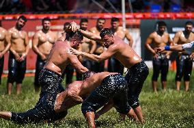 Oil Wrestling Competition - Turkey