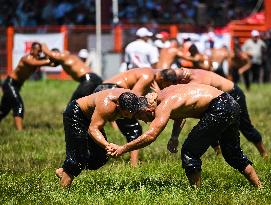 Oil Wrestling Competition - Turkey