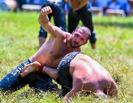Oil Wrestling Competition - Turkey