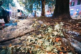 Storm Causes Damage in Milan - Italy
