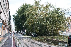 Storm Causes Damage in Milan - Italy