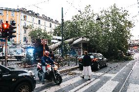 Storm Causes Damage in Milan - Italy