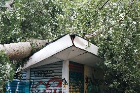 Storm Causes Damage in Milan - Italy