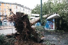 Storm Causes Damage in Milan - Italy