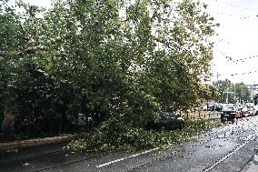 Storm Causes Damage in Milan - Italy