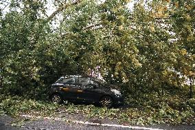 Storm Causes Damage in Milan - Italy