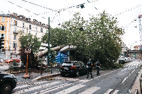 Storm Causes Damage in Milan - Italy