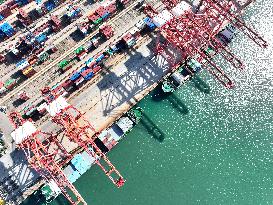 Port Container Trade