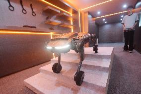 Robot Dog Training