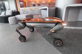 Robot Dog Training