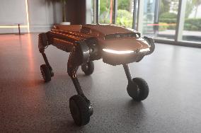Robot Dog Training