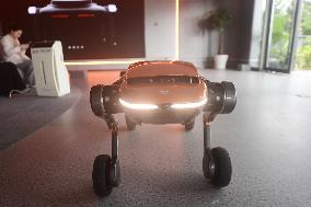 Robot Dog Training