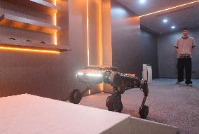 Robot Dog Training