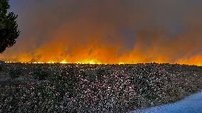 Izmir Wildfires - Turkey