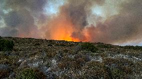 Izmir Wildfires - Turkey