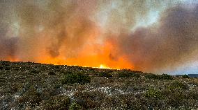 Izmir Wildfires - Turkey