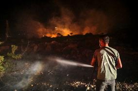 Izmir Wildfires - Turkey