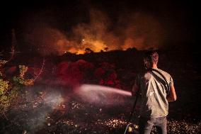 Izmir Wildfires - Turkey